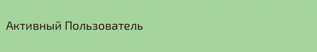 Активный Пользователь